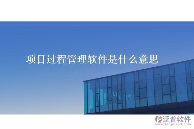 項(xiàng)目過(guò)程管理軟件是什么意思