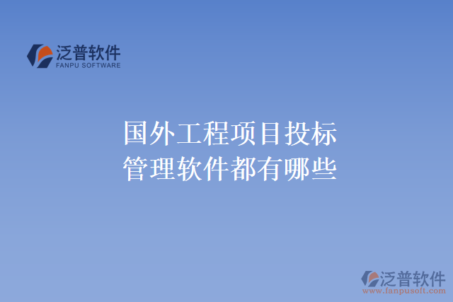 國外工程項目投標(biāo)管理軟件都有哪些