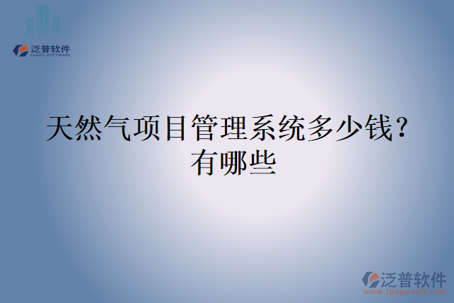 天然氣項(xiàng)目管理系統(tǒng)多少錢？有哪些