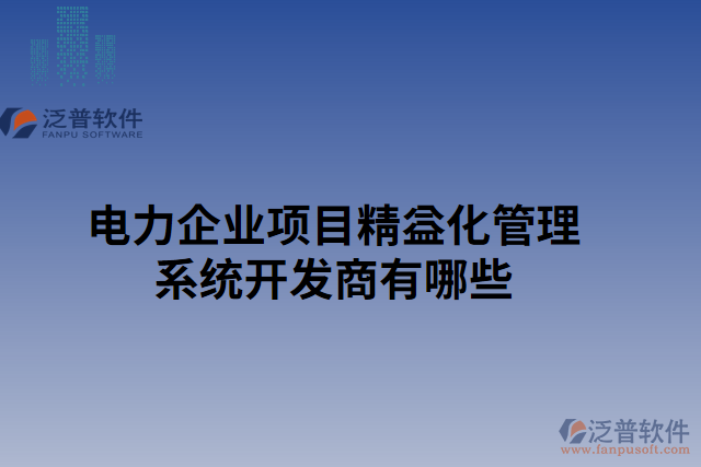 電力企業(yè)項(xiàng)目精益化管理系統(tǒng)開(kāi)發(fā)商有哪些