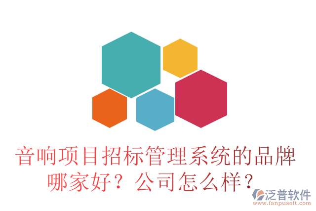 音響項(xiàng)目招標(biāo)管理系統(tǒng)的品牌哪家好？公司怎么樣？