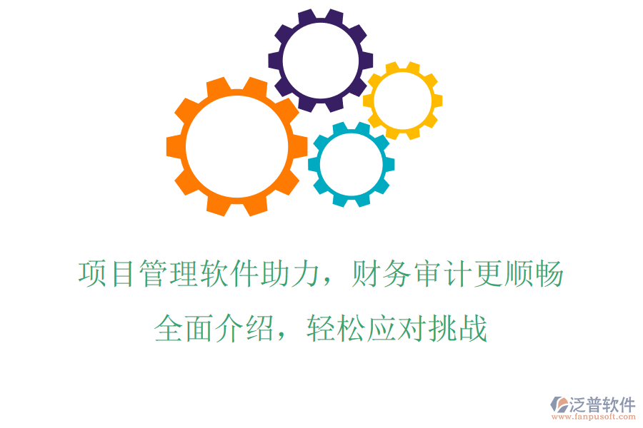 項(xiàng)目管理軟件助力，財(cái)務(wù)審計(jì)更順暢，全面介紹，輕松應(yīng)對(duì)挑戰(zhàn)