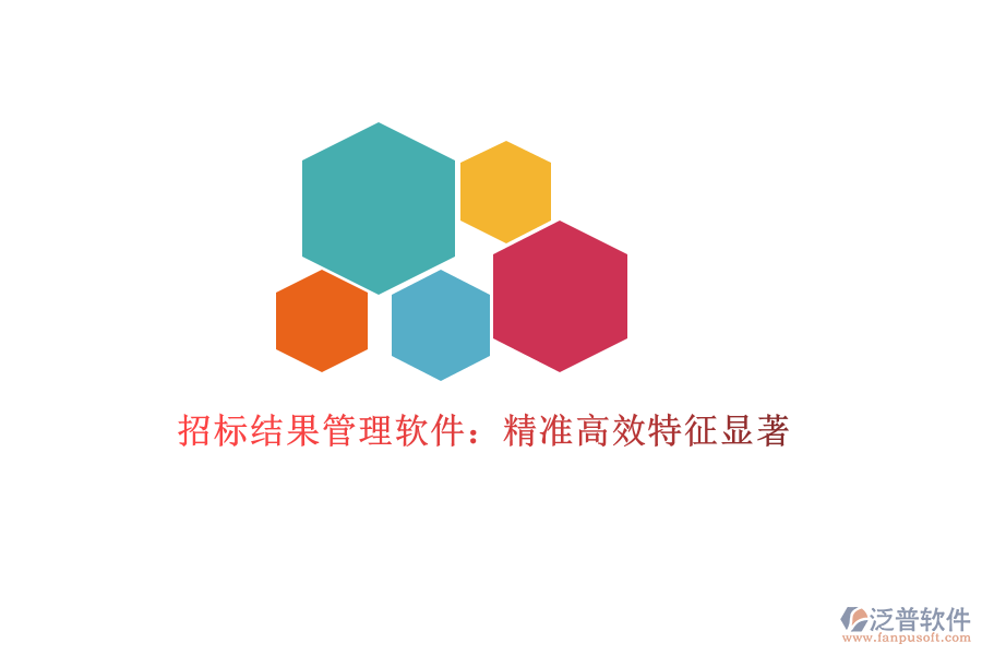 招標結(jié)果管理軟件：精準高效，特征顯著