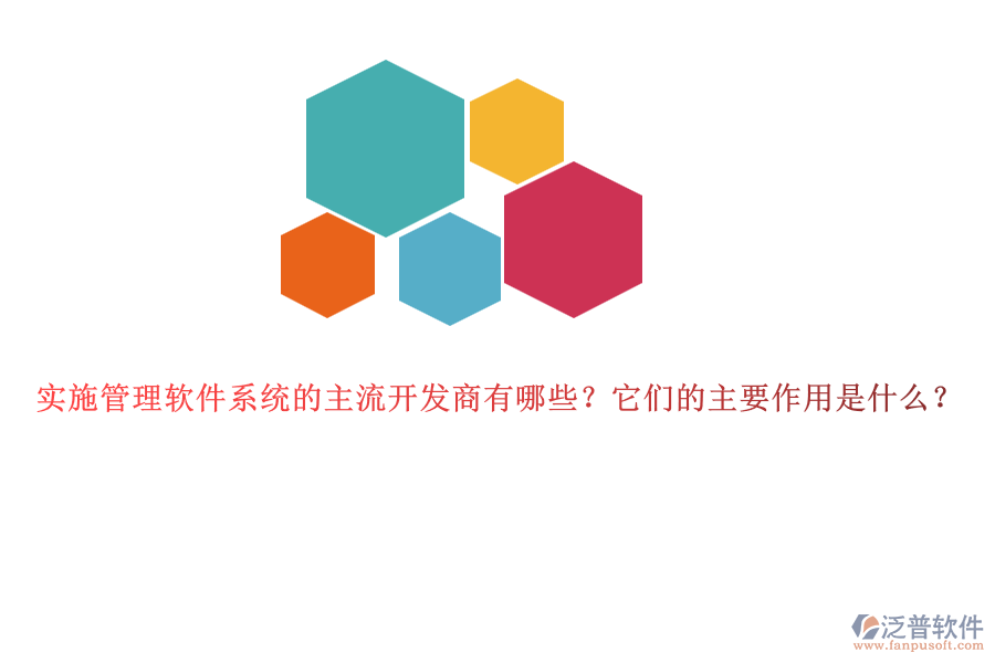 實施管理軟件系統(tǒng)的主流開發(fā)商有哪些？它們的主要作用是什么？