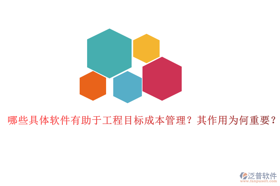 哪些具體軟件有助于工程目標(biāo)成本管理？其作用為何重要？