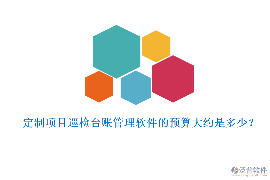 定制項目巡檢臺賬管理軟件的預算大約是多少？