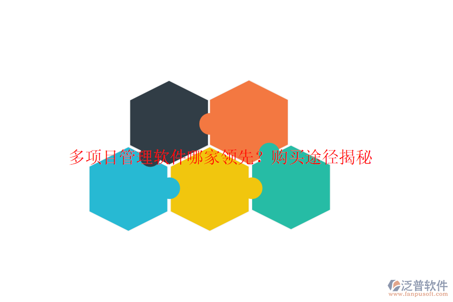 多項目管理軟件哪家領(lǐng)先？購買途徑揭秘