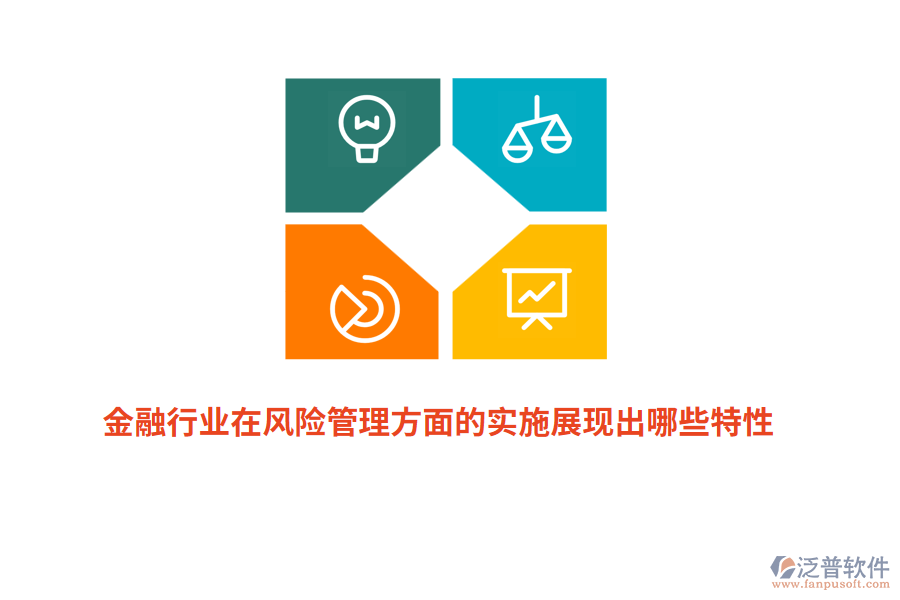 金融行業(yè)在風(fēng)險管理方面的實施展現(xiàn)出哪些特性？