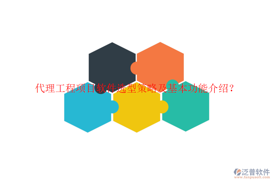 代理工程項目軟件選型策略及基本功能介紹？