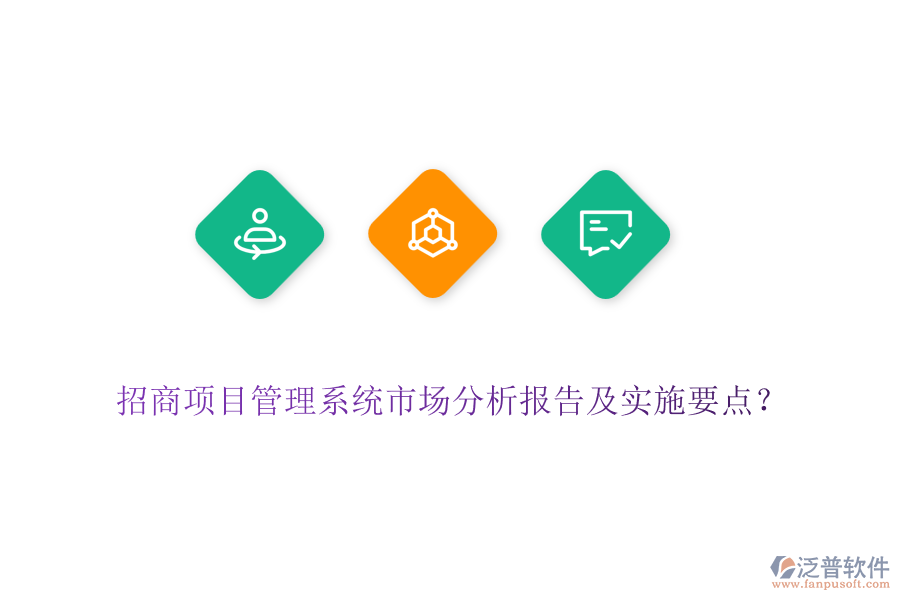 招商項目管理系統(tǒng)市場分析報告及實施要點？