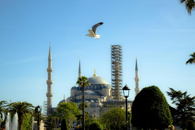 超市用移動終端庫存管理系統(tǒng)，操作卡頓咋優(yōu)化？