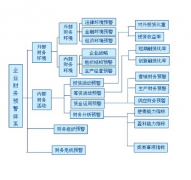財務預警系統(tǒng)案例分析