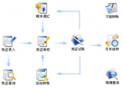 財務軟件是否有網(wǎng)絡版的？