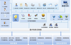 區(qū)域衛(wèi)生信息化是新醫(yī)改的必要條件！