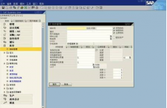 在哪里能下載到SAP財(cái)務(wù)軟件呢？